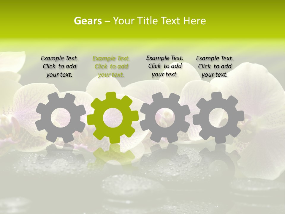 Stone Meditation Petal PowerPoint Template