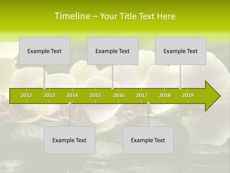 Stone Meditation Petal PowerPoint Template