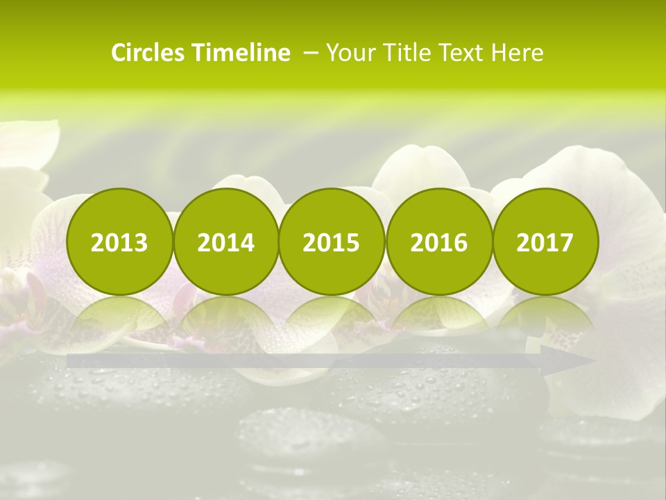Stone Meditation Petal PowerPoint Template