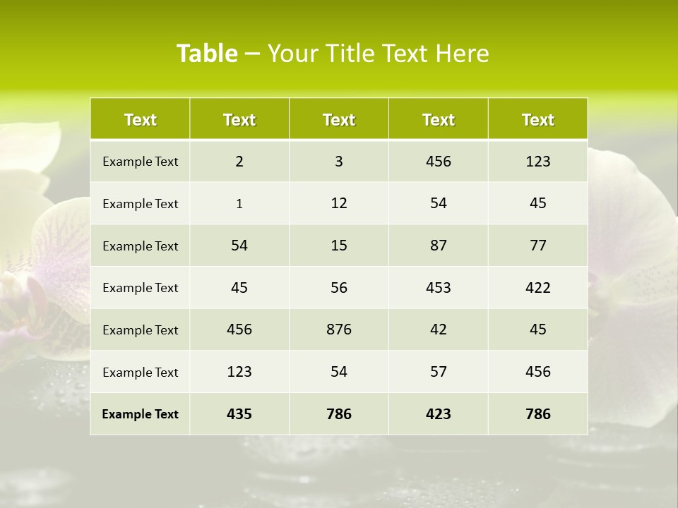 Stone Meditation Petal PowerPoint Template