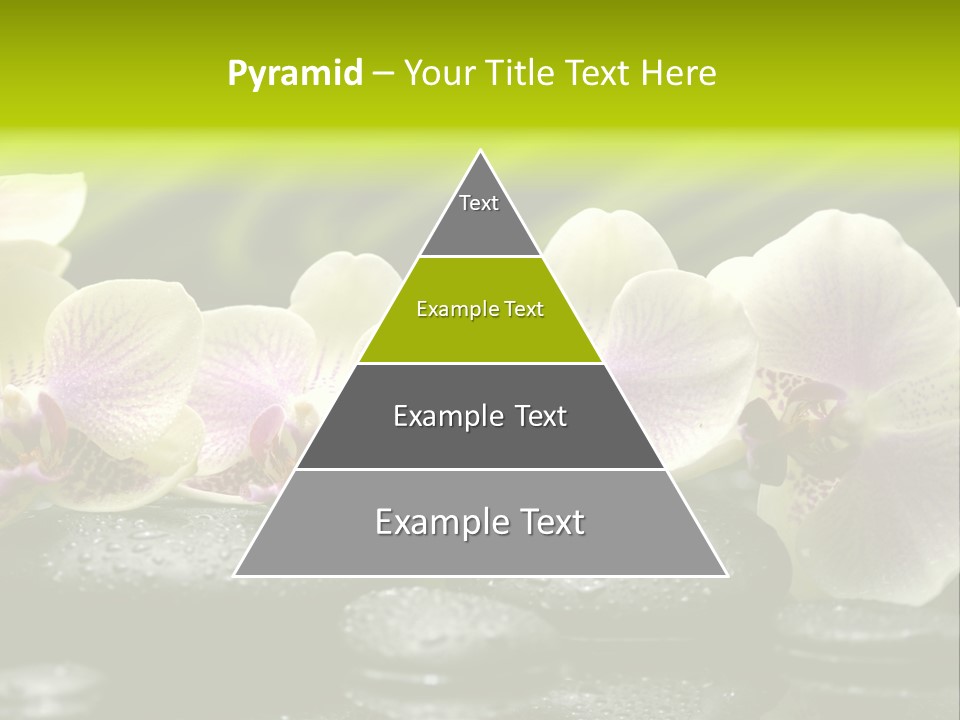 Stone Meditation Petal PowerPoint Template