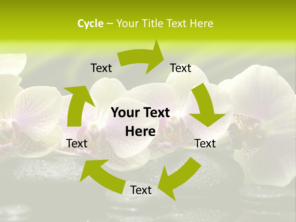 Stone Meditation Petal PowerPoint Template