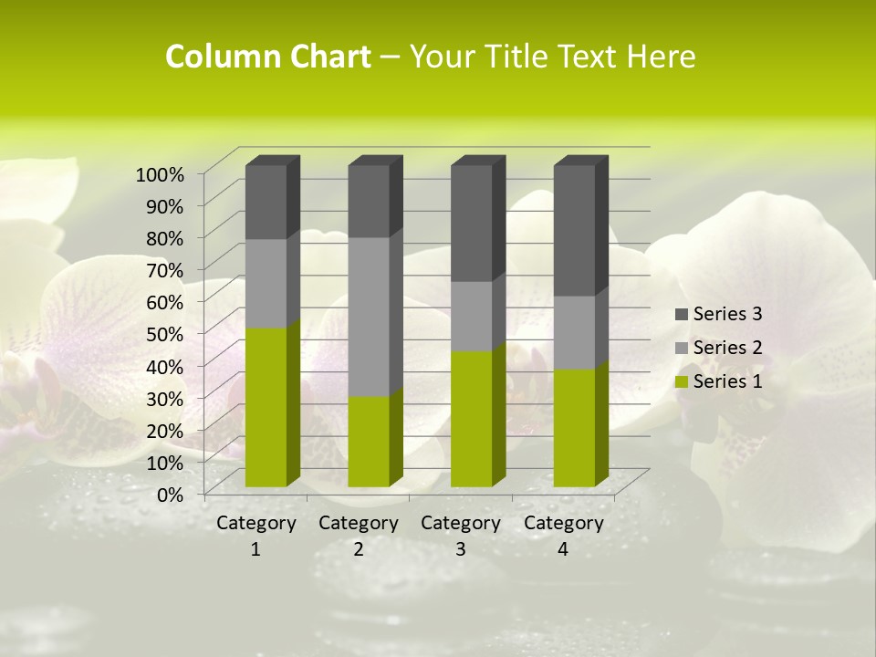 Stone Meditation Petal PowerPoint Template