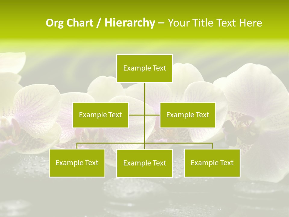 Stone Meditation Petal PowerPoint Template