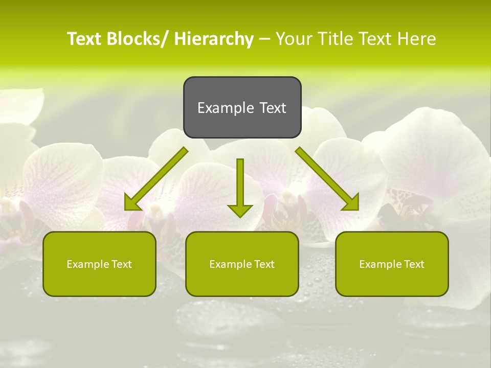 Stone Meditation Petal PowerPoint Template