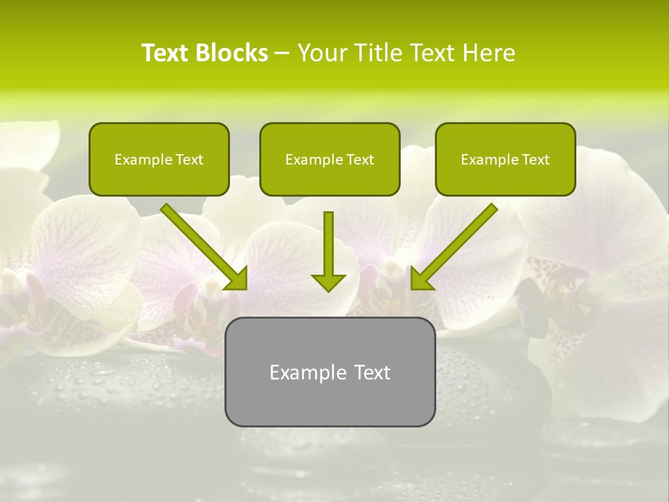 Stone Meditation Petal PowerPoint Template