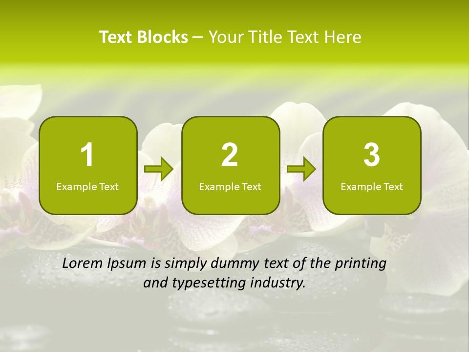 Stone Meditation Petal PowerPoint Template