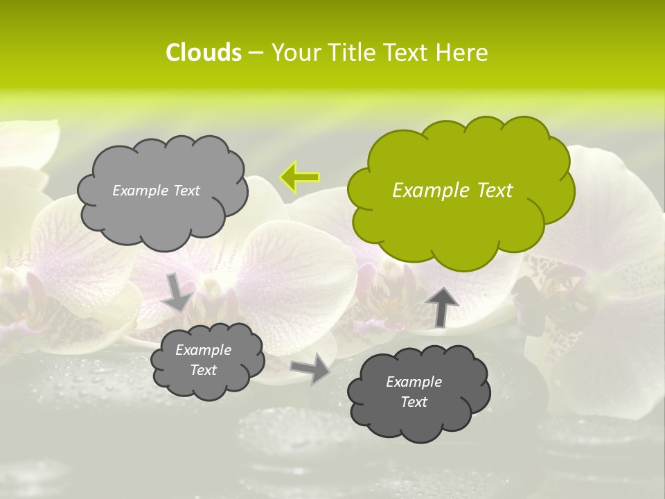 Stone Meditation Petal PowerPoint Template