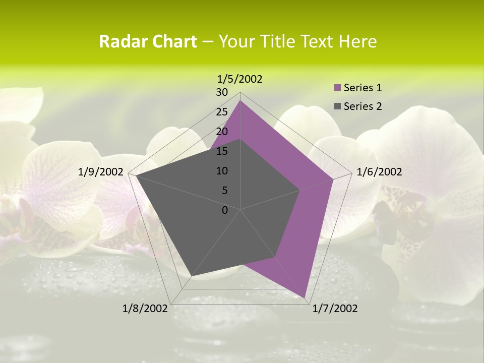 Stone Meditation Petal PowerPoint Template