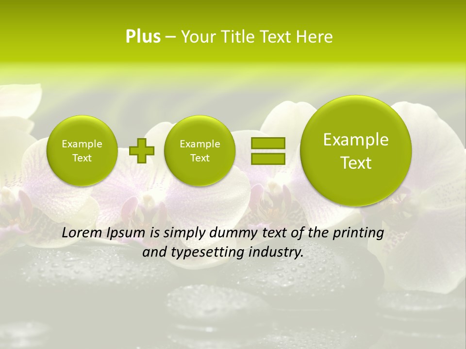 Stone Meditation Petal PowerPoint Template