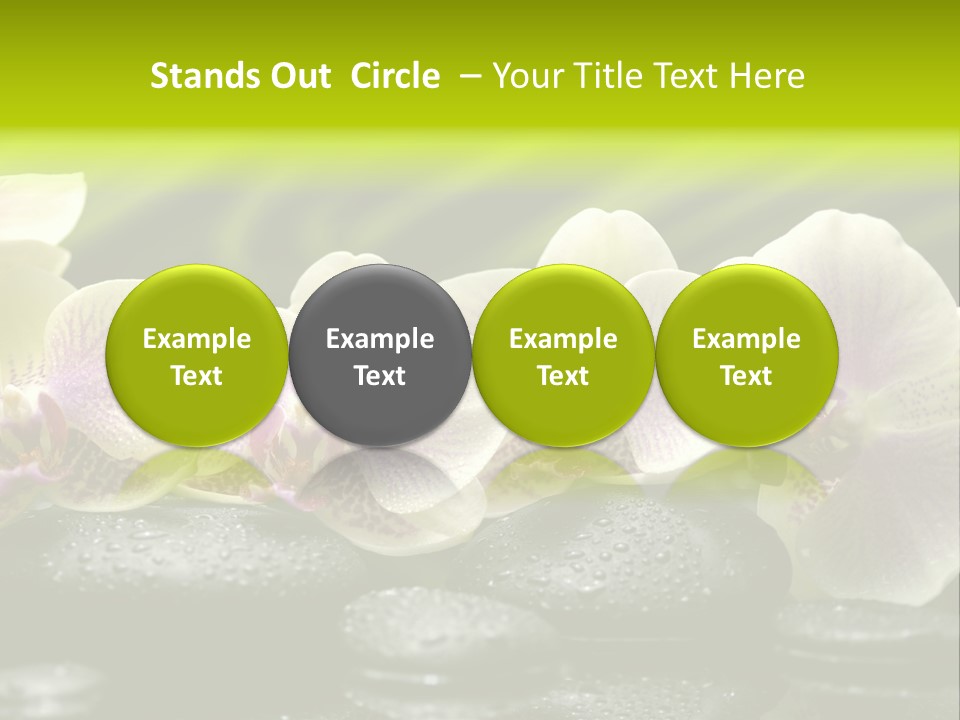 Stone Meditation Petal PowerPoint Template