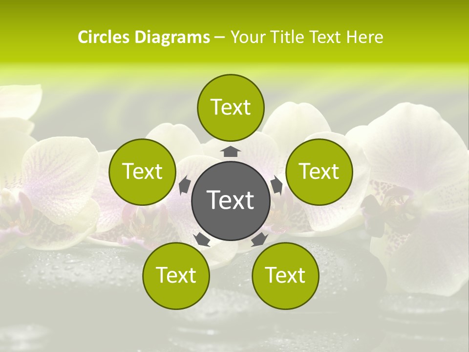 Stone Meditation Petal PowerPoint Template