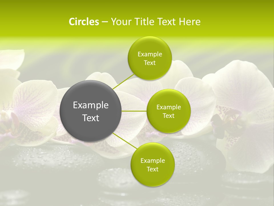 Stone Meditation Petal PowerPoint Template