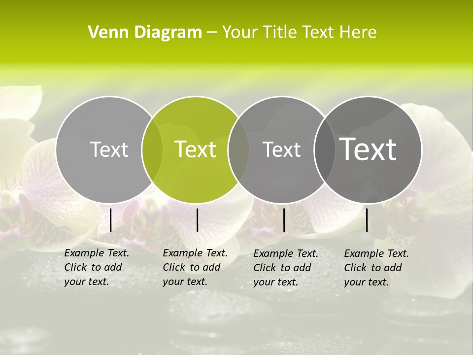 Stone Meditation Petal PowerPoint Template