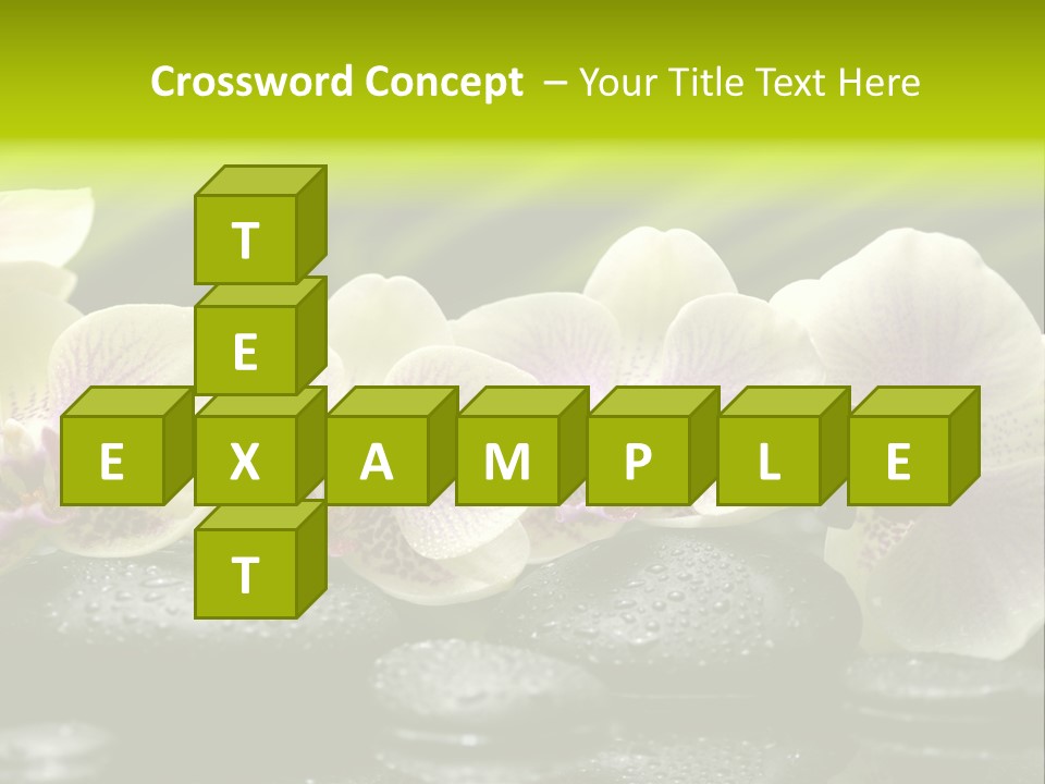 Stone Meditation Petal PowerPoint Template