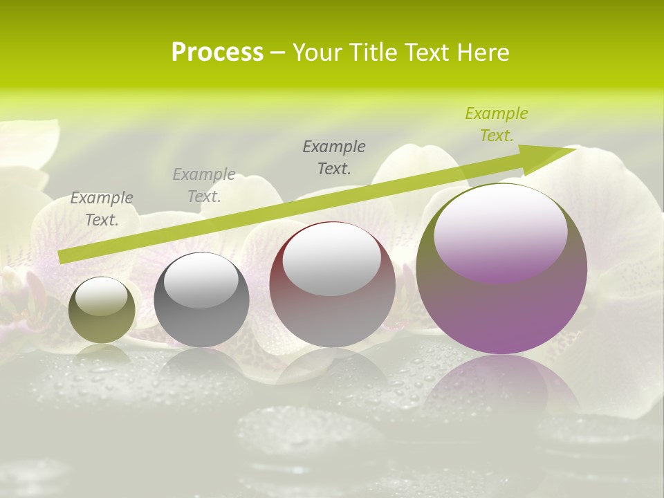 Stone Meditation Petal PowerPoint Template