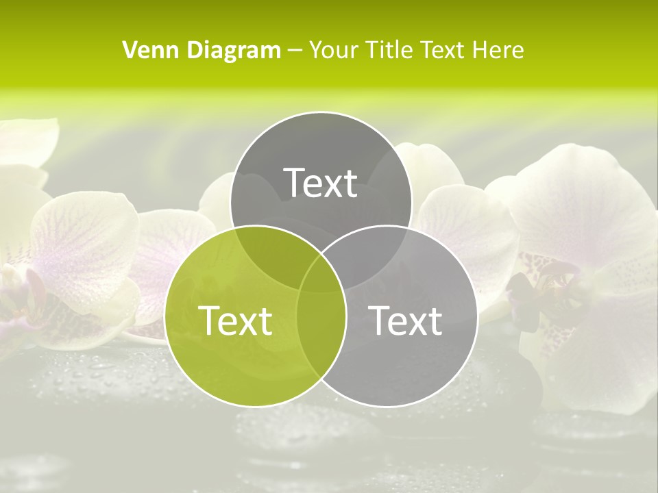 Stone Meditation Petal PowerPoint Template