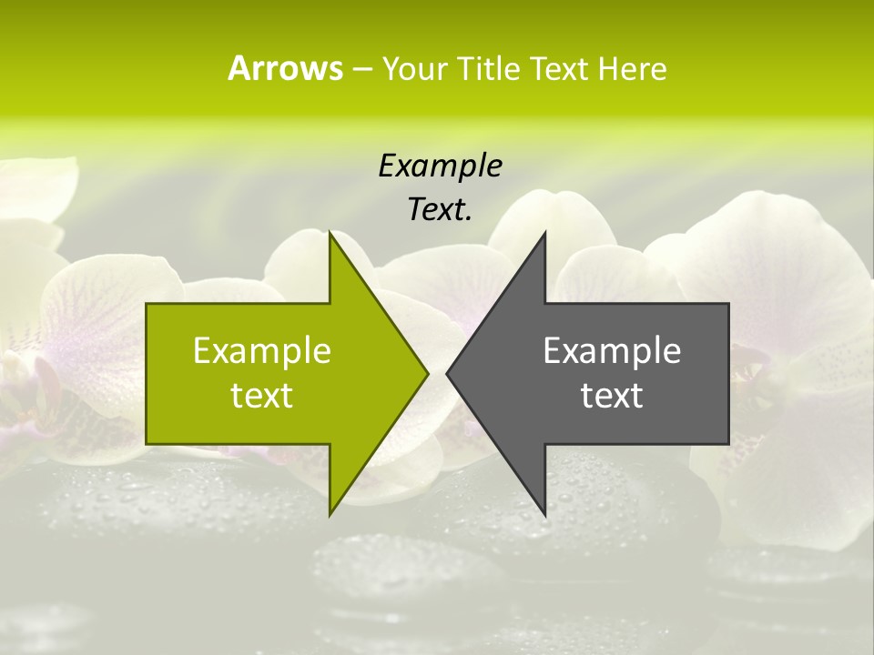 Stone Meditation Petal PowerPoint Template