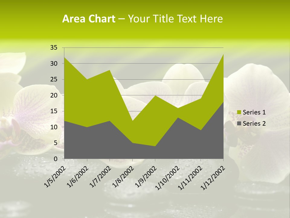 Stone Meditation Petal PowerPoint Template