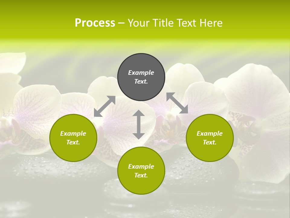 Stone Meditation Petal PowerPoint Template