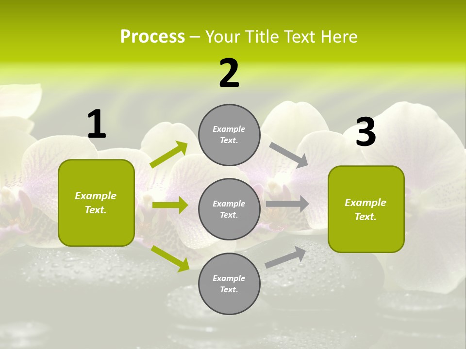 Stone Meditation Petal PowerPoint Template