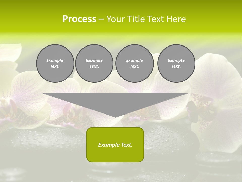 Stone Meditation Petal PowerPoint Template