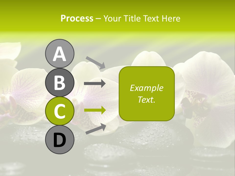 Stone Meditation Petal PowerPoint Template