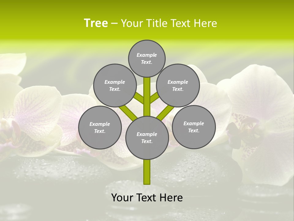Stone Meditation Petal PowerPoint Template