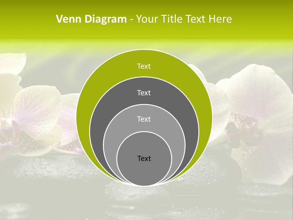 Stone Meditation Petal PowerPoint Template
