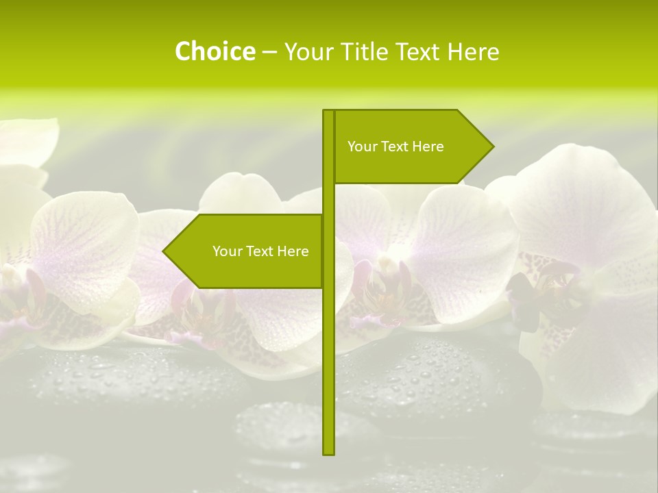 Stone Meditation Petal PowerPoint Template
