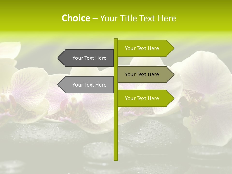 Stone Meditation Petal PowerPoint Template