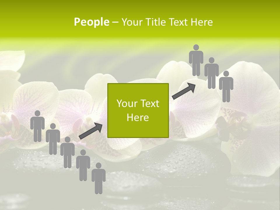 Stone Meditation Petal PowerPoint Template