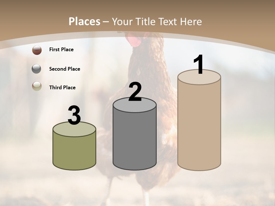 Outdoors Outside Feathers PowerPoint Template