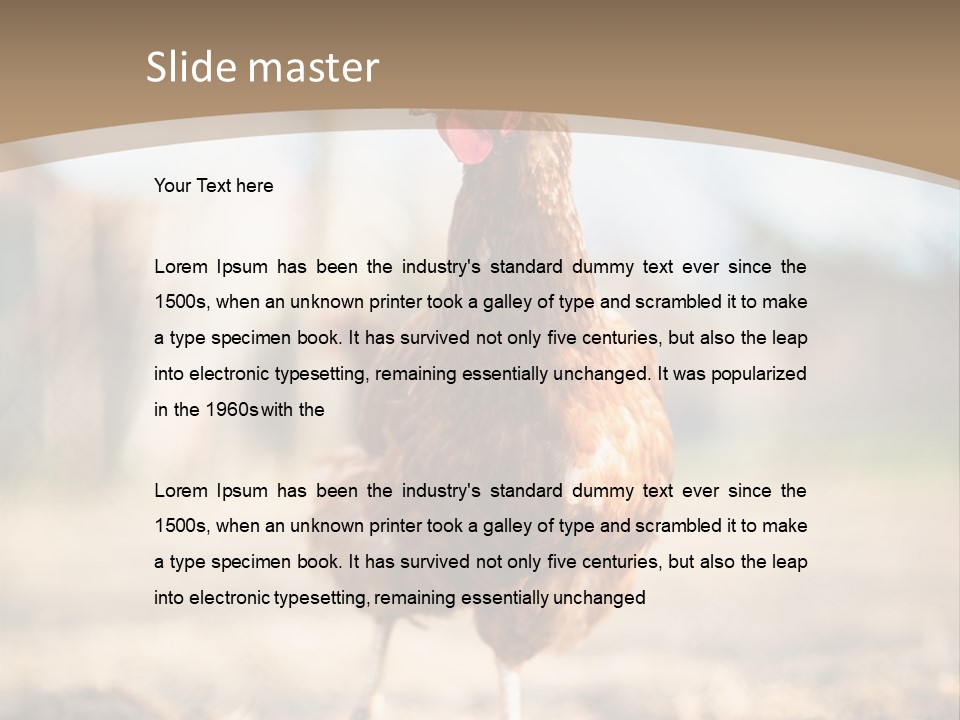 Outdoors Outside Feathers PowerPoint Template