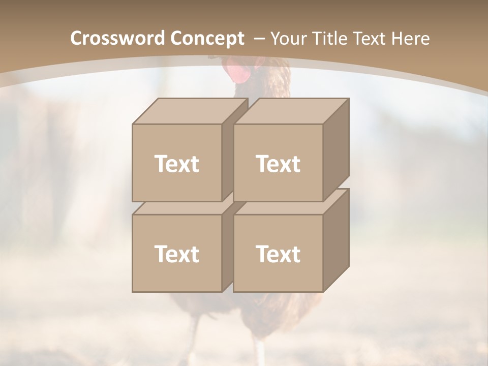 Outdoors Outside Feathers PowerPoint Template