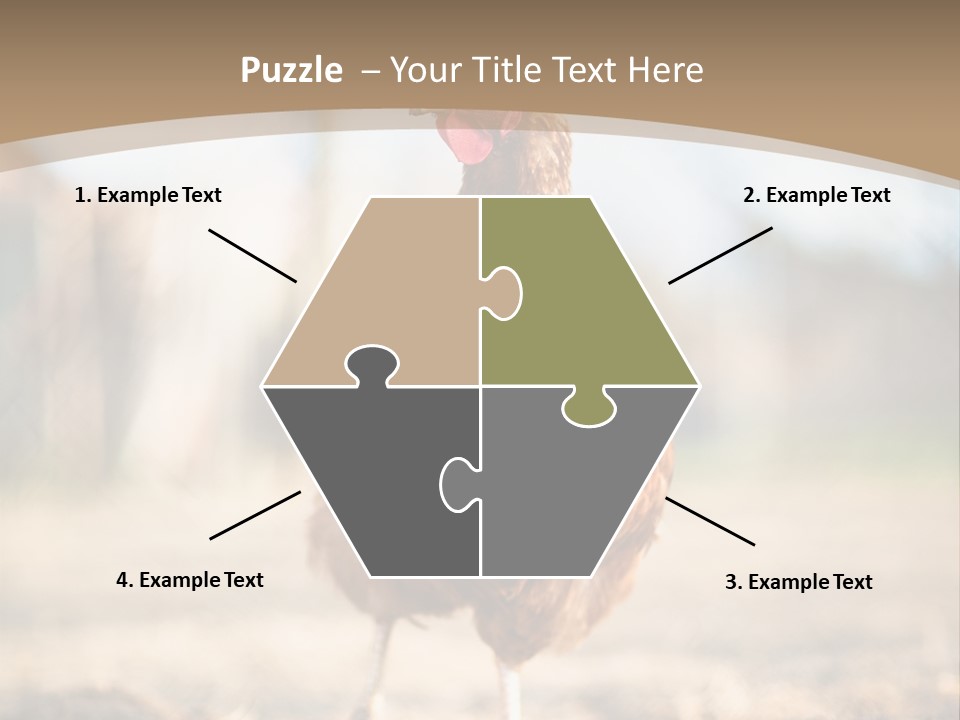 Outdoors Outside Feathers PowerPoint Template