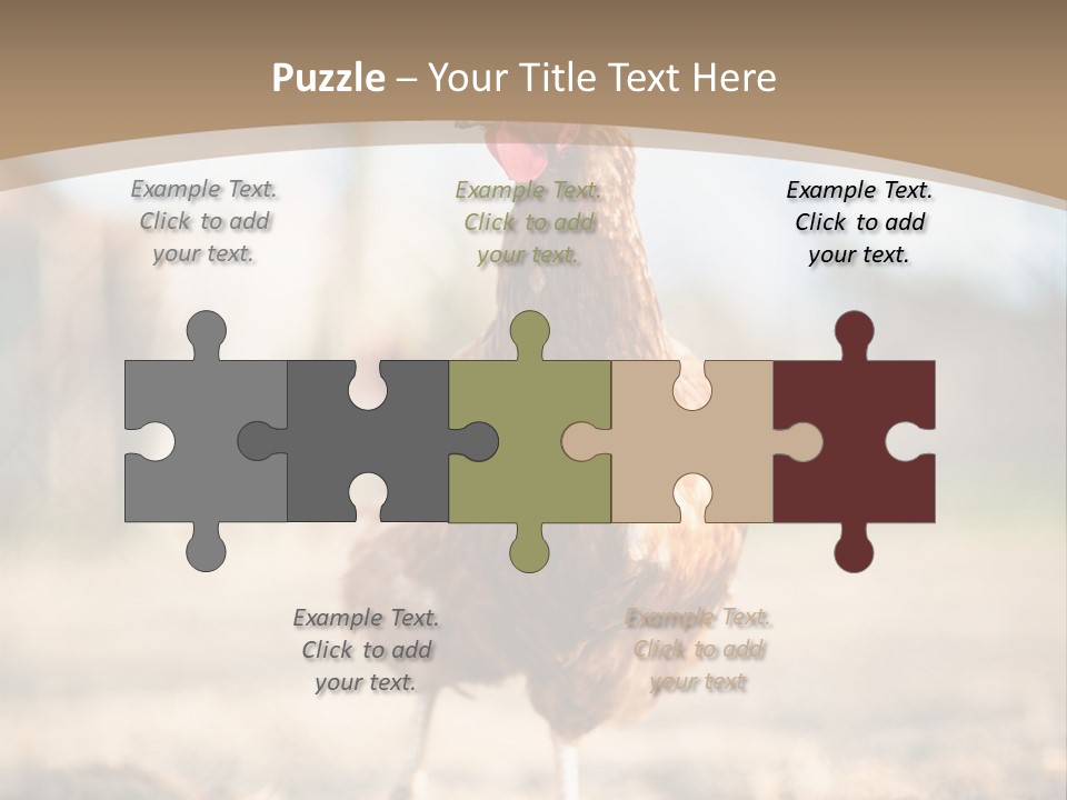 Outdoors Outside Feathers PowerPoint Template