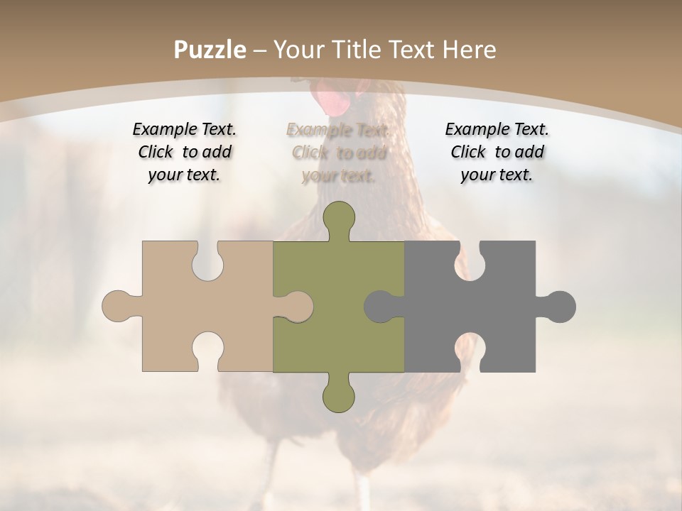 Outdoors Outside Feathers PowerPoint Template