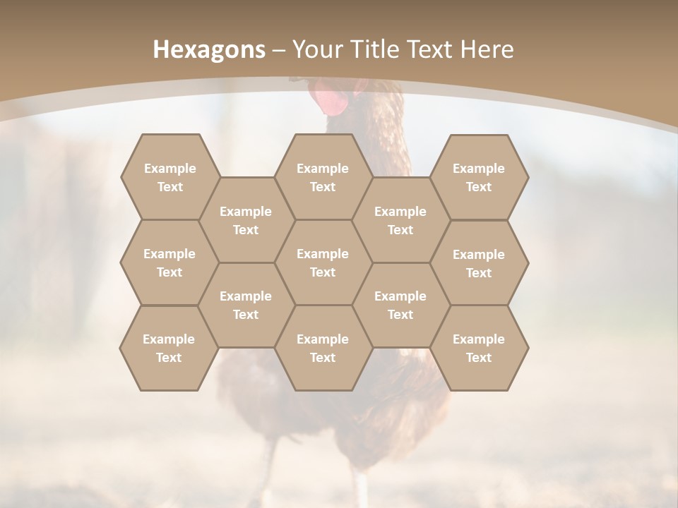 Outdoors Outside Feathers PowerPoint Template