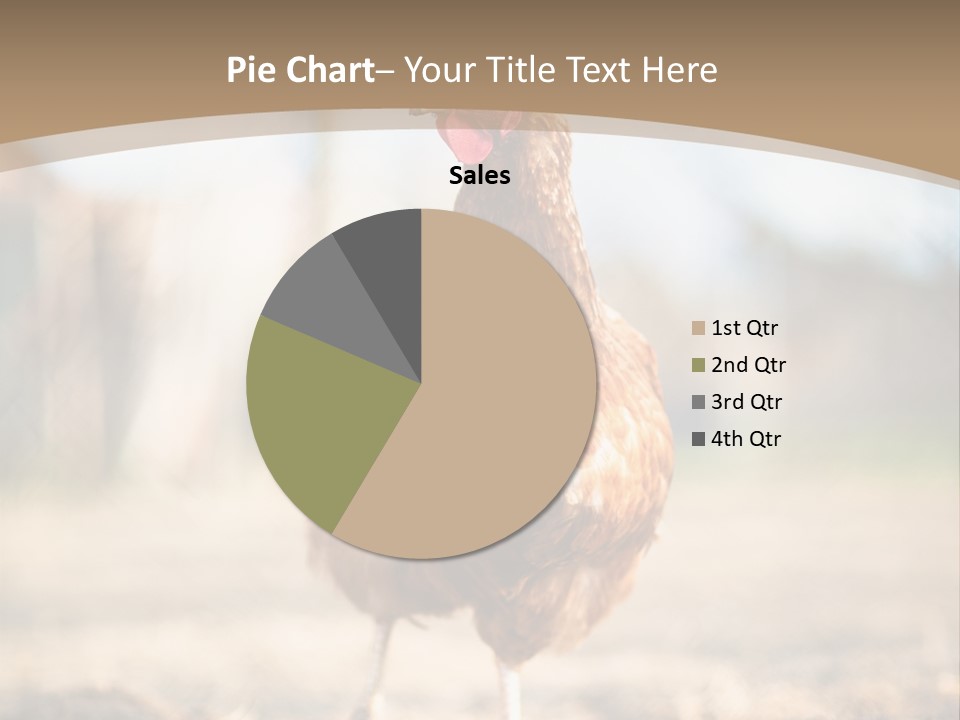 Outdoors Outside Feathers PowerPoint Template