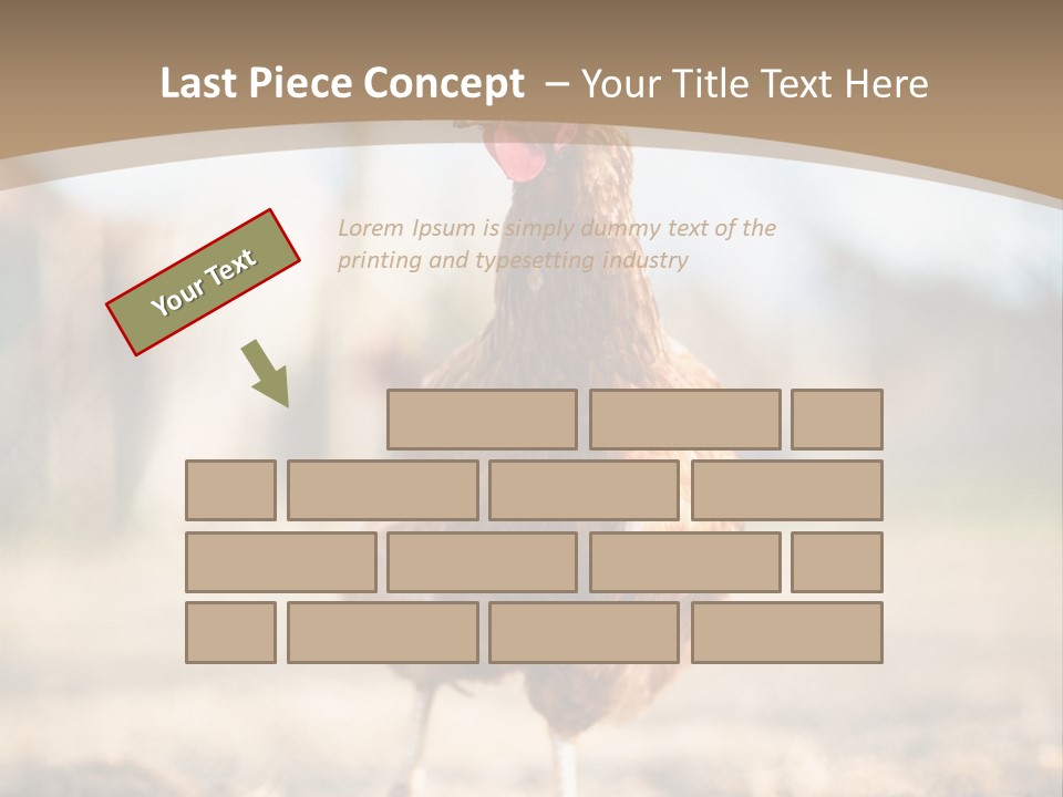 Outdoors Outside Feathers PowerPoint Template