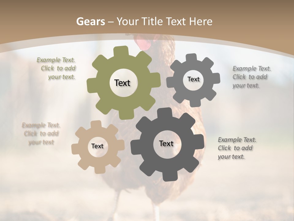 Outdoors Outside Feathers PowerPoint Template