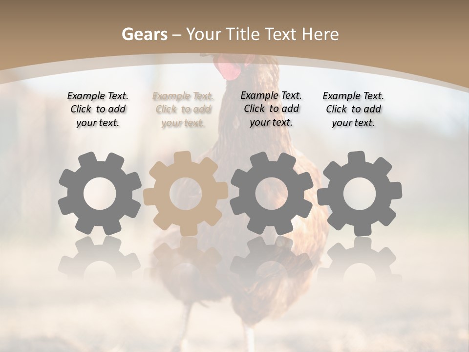 Outdoors Outside Feathers PowerPoint Template