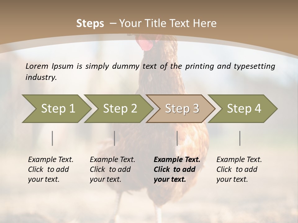 Outdoors Outside Feathers PowerPoint Template