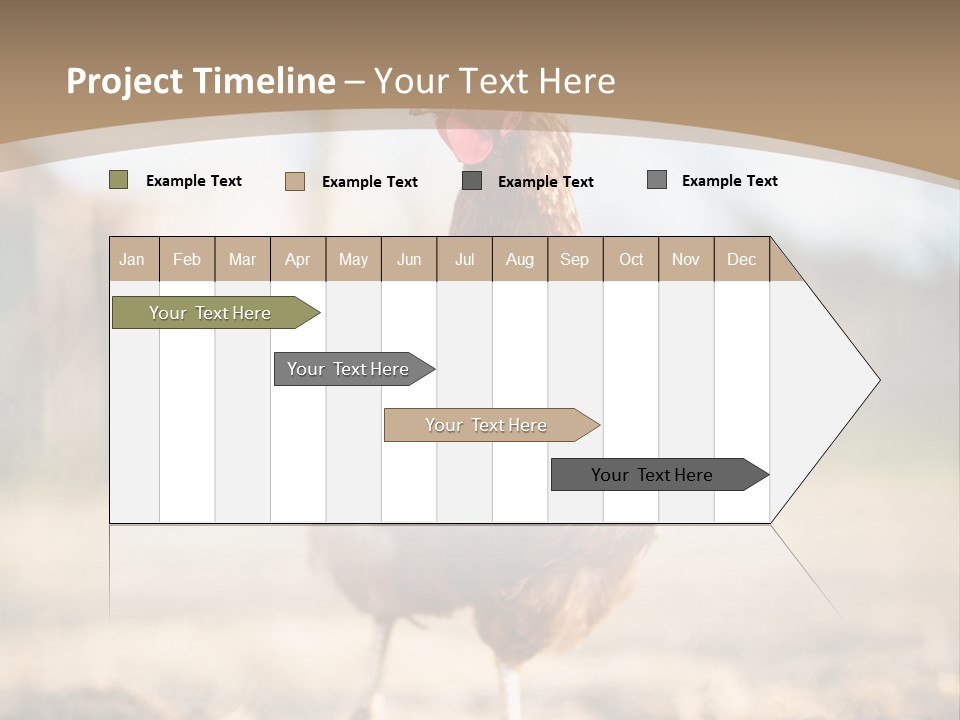 Outdoors Outside Feathers PowerPoint Template