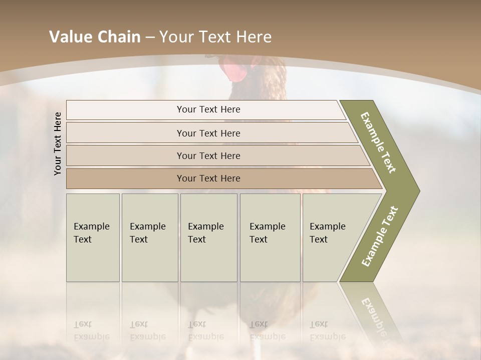 Outdoors Outside Feathers PowerPoint Template