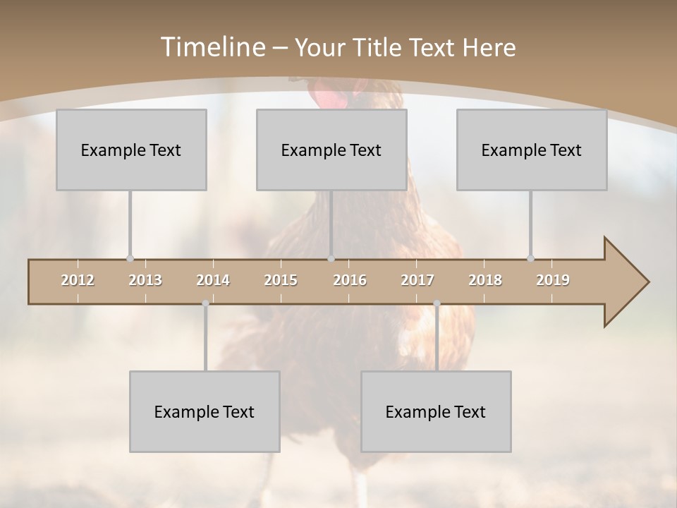 Outdoors Outside Feathers PowerPoint Template