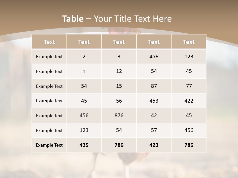 Outdoors Outside Feathers PowerPoint Template