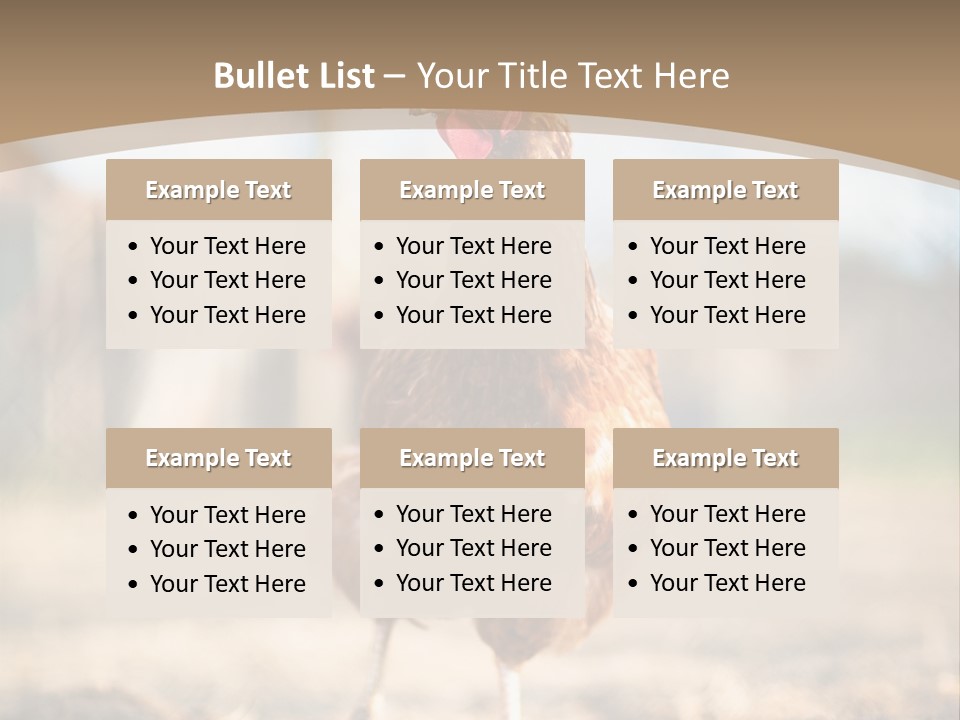 Outdoors Outside Feathers PowerPoint Template