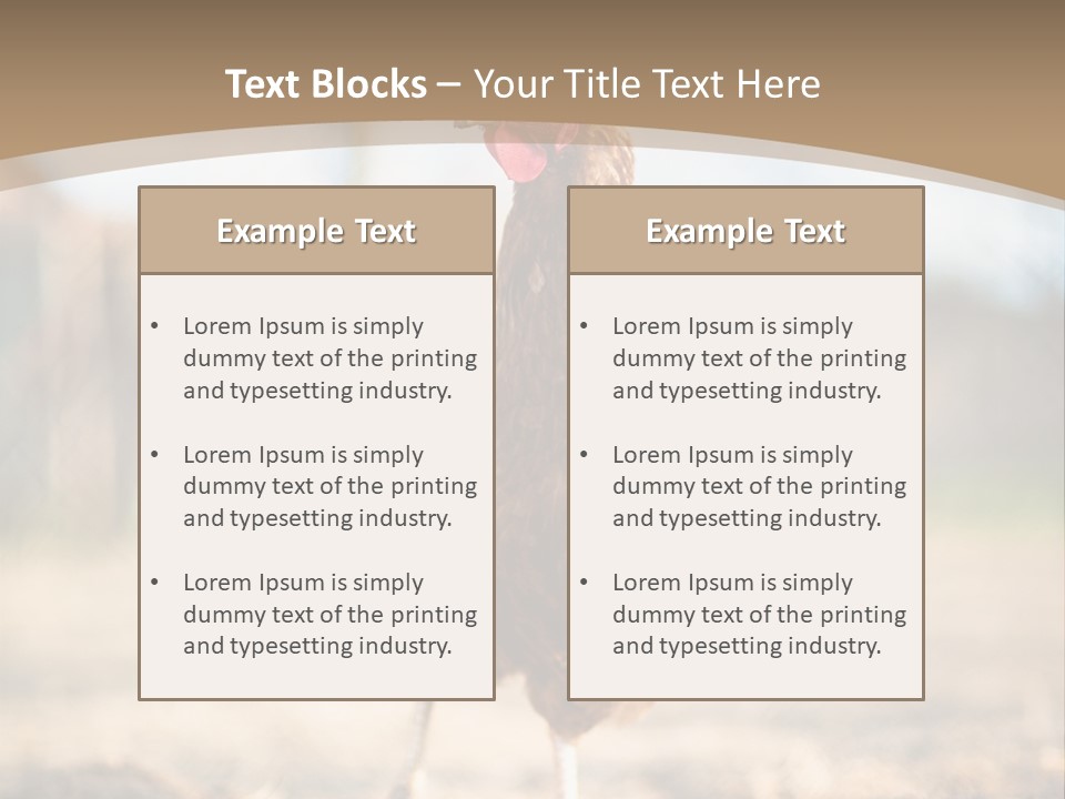 Outdoors Outside Feathers PowerPoint Template
